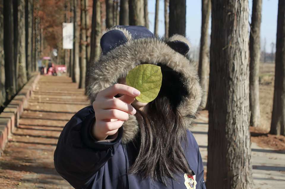 看见事物的另一面